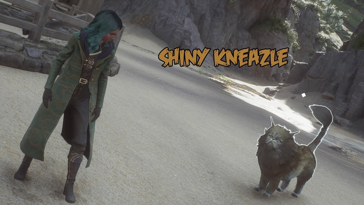 Hogwarts Legacy Shiny Kneazle Location