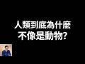 到底是什麼讓人類脫離了生物學範疇，變得不再像是種動物？認知革命的真相……《人類簡史》/《人類大歷史》第二集【老肉雜談】