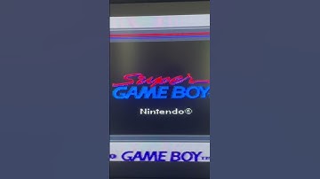 The Super GameBoy