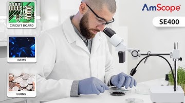 AmScope Compact Fixed-Lens Stereo Boom-Arm Microscope with Gooseneck LED Light