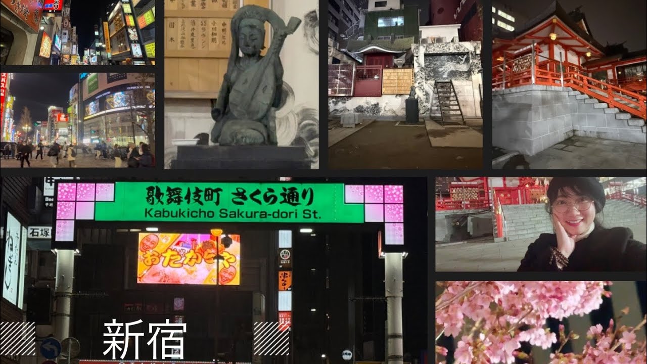 【TOKYO 】 【新宿-歌舞伎町】Shinjuku KABUKICHO VỀ ĐÊM   #tokyo #shinjuku #kabukicho #歌舞伎町 #観光 #東京 #旅行 #tourist