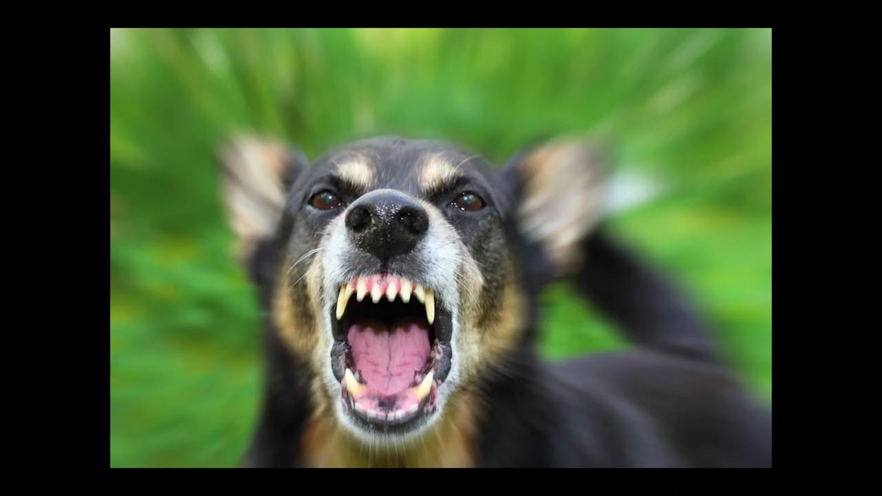 Carlo Costa - Un pò di rabbia