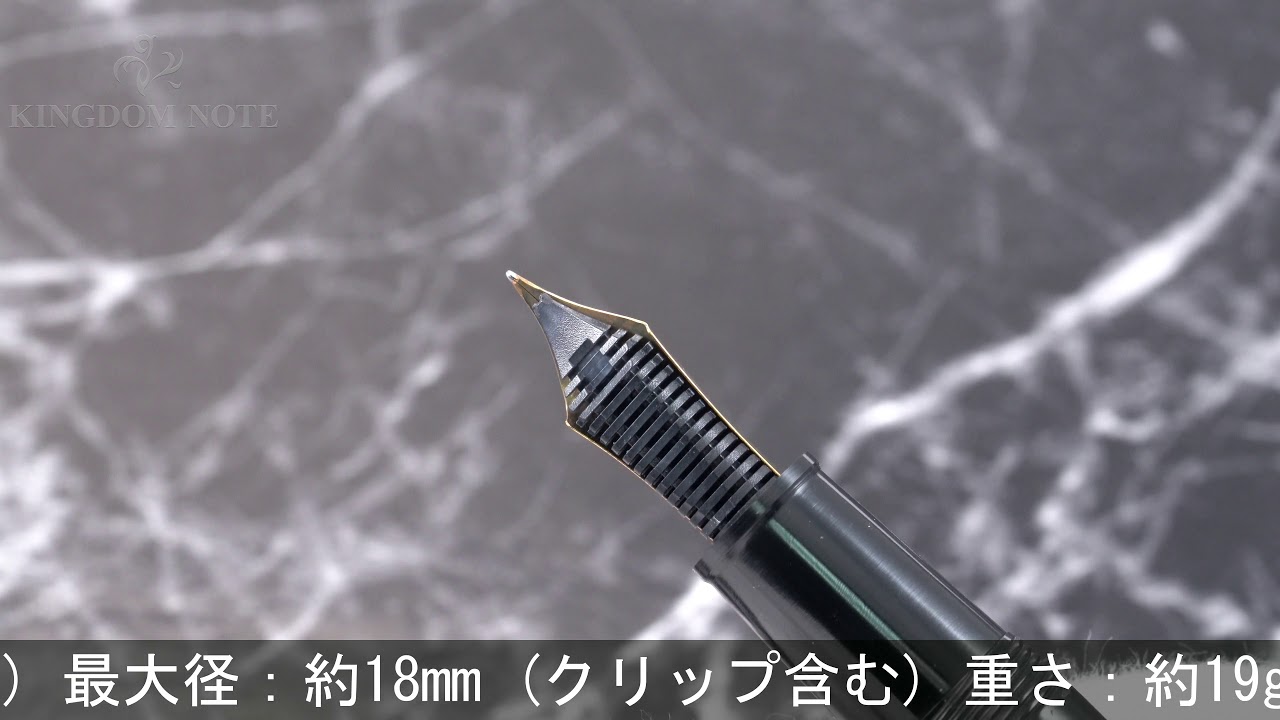 HAKASE 万年筆博士 万年筆 手づくり万年筆 オランダ水牛/エボナイト