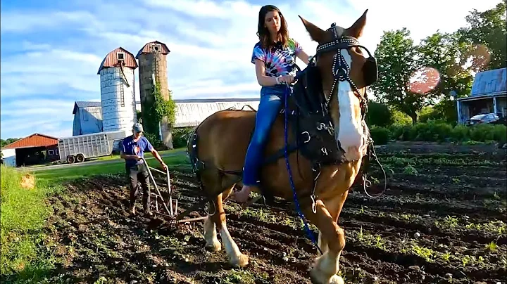 HAYING ISSUES!  // Trudy Helps Cultivate the Garde...