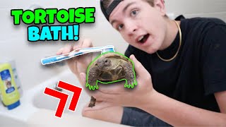 HOW TO GIVE YOUR TORTOISE A BATH IN 2020! + DIY RUSSIAN TORTOISE HIDE!