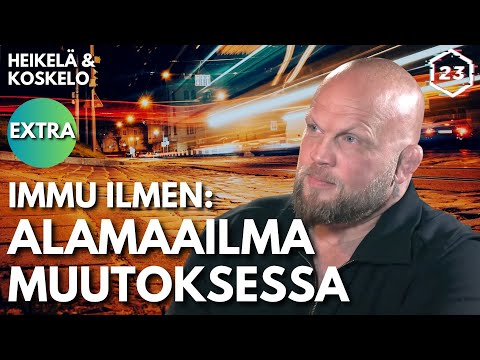 Immu Ilmén -