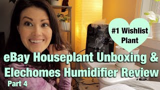 #1 Wishlist Plant Haul & Humidifier Review - eBay Houseplant Unboxing & Elechomes Humidifier Review