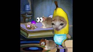 Ratcat mom separates Ratina & Ratcat