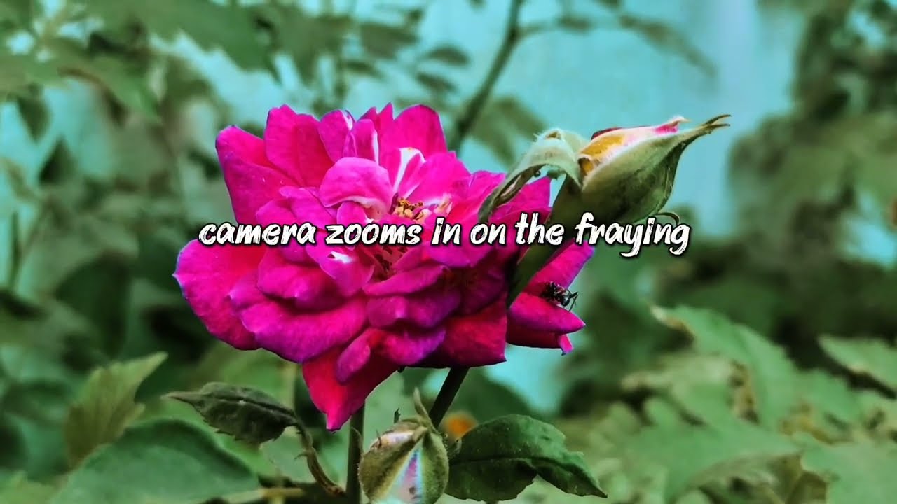 Scene 2