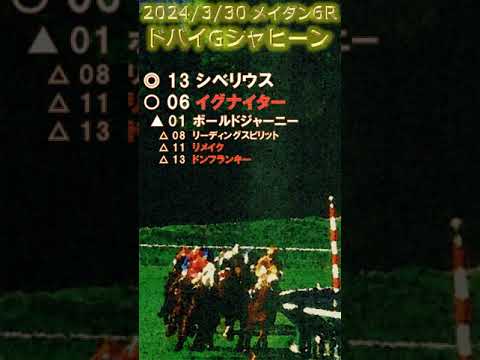 ドバイゴールデンシャヒーン予想（2024年3月30日深夜メイダン6R）