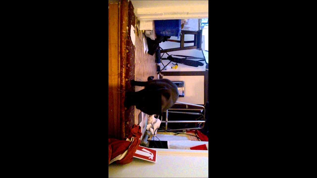 1ere vidéo de Morssure