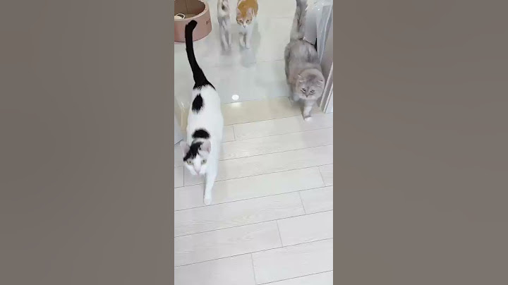미안..무능한(?) 엄마라서..😭