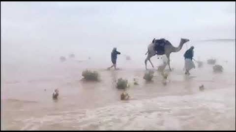 #روائع_التلاوة الشيخ محمد صديق المنشاوي{وَمَن ءاياته إِنَّك تُرِي الْأَرْض خَاشِعَةٌ}سورة فصلت