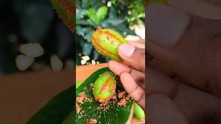 Mouthwatering Amraa makha 🤤🔥 #fruit #shortsfeed #ytshorts #viral #food #fruitcutting