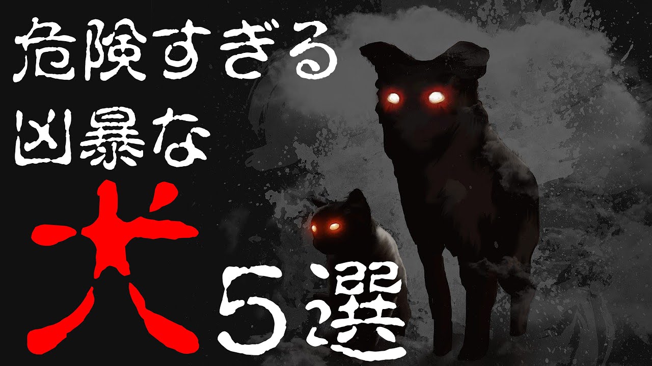 【危険】危なすぎる凶暴な犬5選【動物雑学】 - YouTube