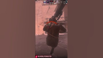 2 Bird In 1 Rock #fail #fails #csgo #cs2 #cs #steam #valve #game #games