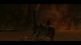 MHGU - capture the Paguroidea
MHGU - capture the Paguroidea MHGU - capture the Paguroidea