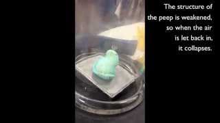 What happens if you expose a Peep to vacuum? @badastronomy
