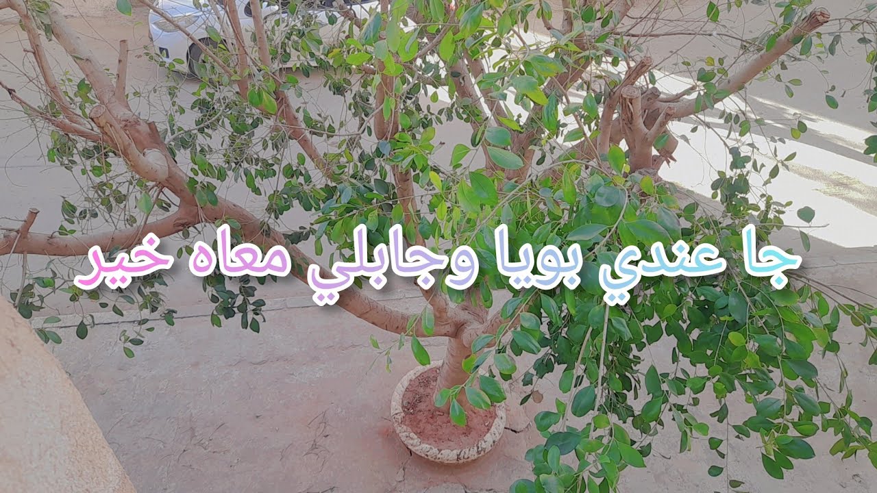 🎀روتين مشارجي😱😱  حنا النساء داعين علينا من شقا مكان مهروب 😭مدرتش الناير بصح والدين تفكروني🤧🤲