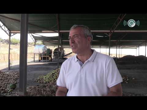 მარნეულის ორგანული ნარჩენების გადამამუშავებელი საწარმო