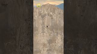 mountain climbing #shorts #animals