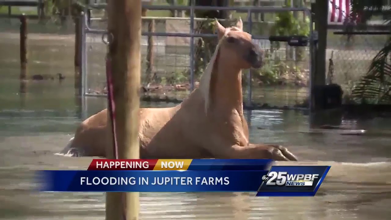 Jupiter Farms residents concerned about flooding YouTube