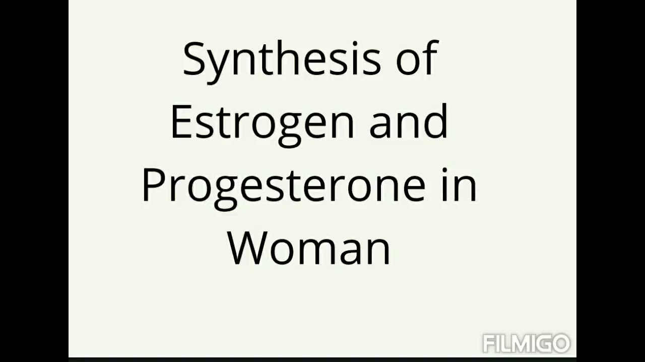 synthesis of estrogen and progesterone mstutorialmaster 