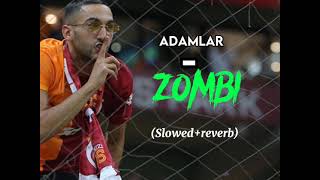 Adamlar-Zombi(Slowed+reberb) Resimi