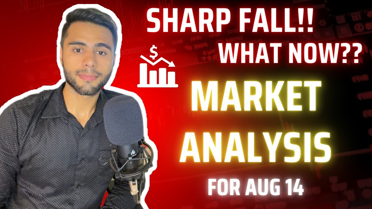 MARKET ANALYSIS FOR 14 AUGUST | SHARP FALL WHAT NOW????? - YouTube