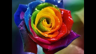 Rainbow Web - Game Theme 3 {Slowed} {One Hour}