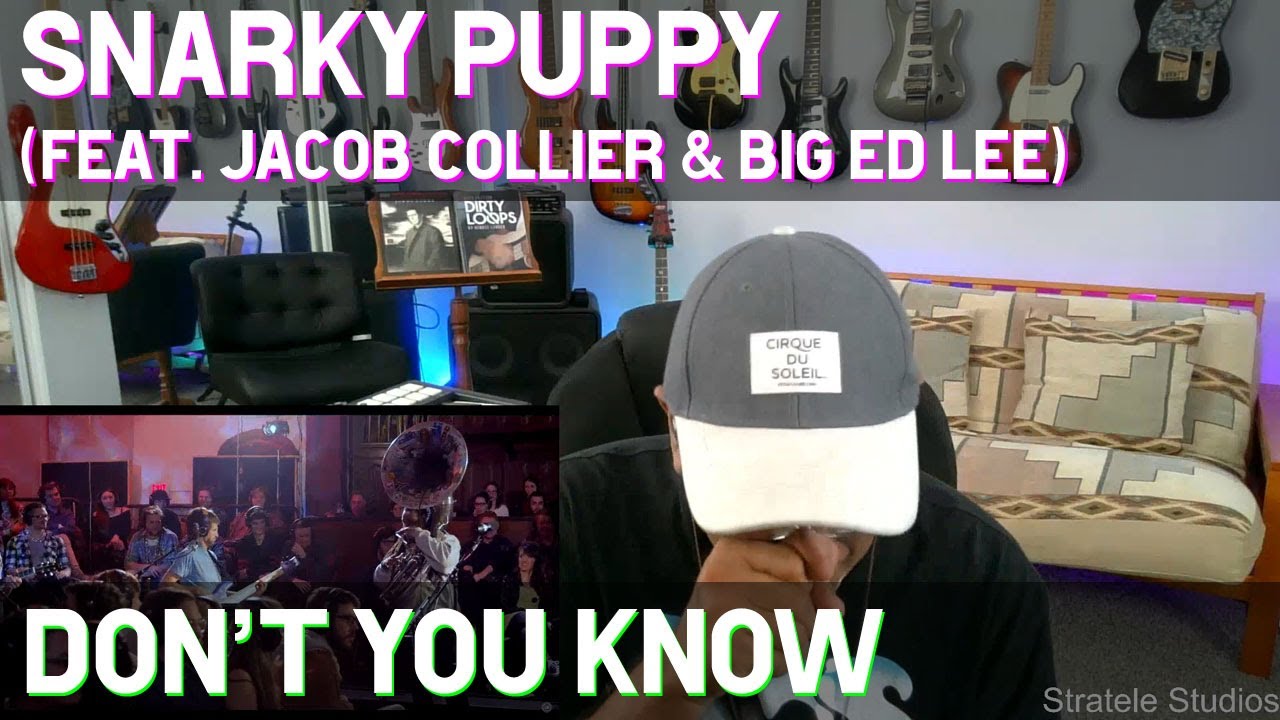 Musician/Producer Reacts to 