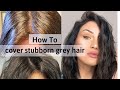 HOW TO COVER STUBBORN GRAY WHITE  HAIR TUTORIAL 2020