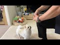 愛犬のために素手でリンゴを割る飼い主。