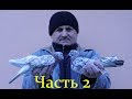 Бакинские бойные голуби .Племенные голуби - Часть 2 /Baku pigeon (Vitalie Stirbu / Кишинёв, Молдова)