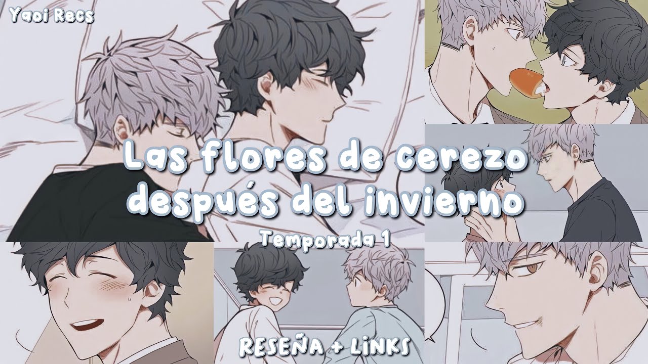 Las flores de cerezo después del invierno🌸 | Reseña + Links♥︎ - YouTube