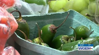 Pritzker signs new Illinois Grocery Store Initiative bill