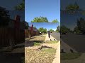 Aurora Police Officer Shoots Armed Man During Family Disturbance Call #justiceserved #courtcase
