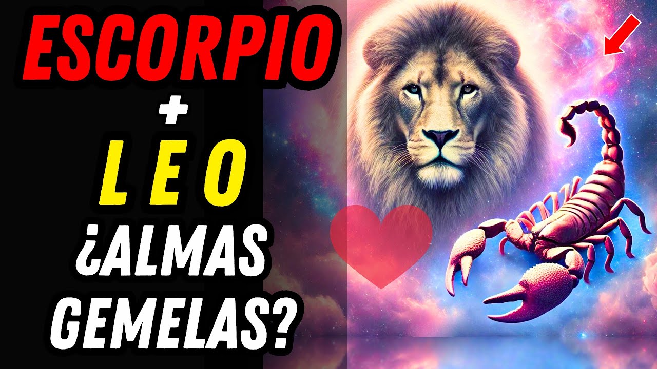 COMPATIBILIDAD ENTRE LEO Y ESCORPIO EN EL AMOR ♏💖♌ ¿Son Afines Estos ...