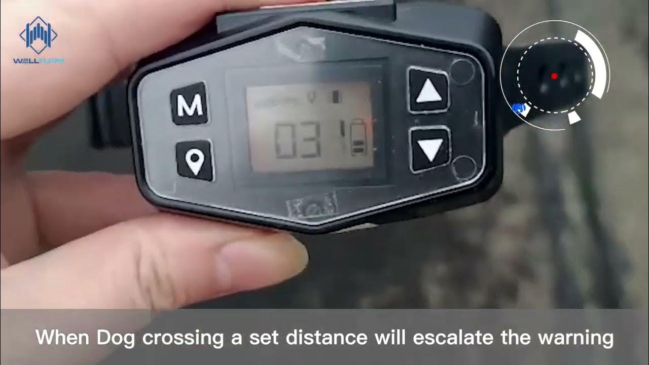 Wellturn F800 GPS Outdoor Wireless Dog Fence System YouTube