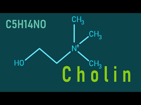 Video: Ist Phosphatidylcholin das gleiche wie Cholin?