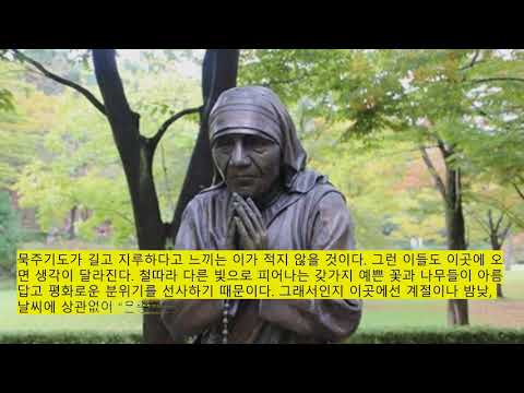 영상썸네일