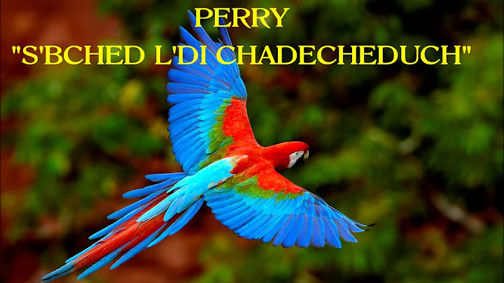 PERRY "S'BCH'D L D'CHADECHEDUCH"