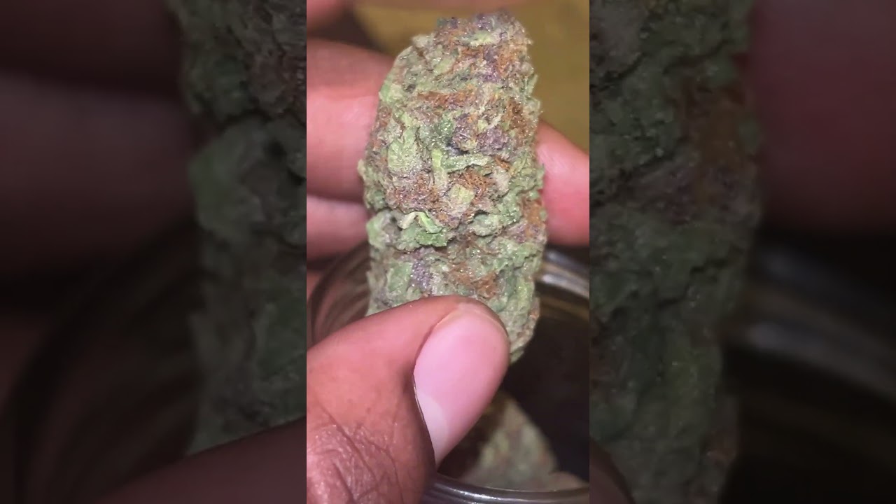 Lit Farms Tropicana Cherry (Essential)🔥😤 