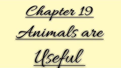 Class 2 Environmental studies Chapter 19 Animals Are Useful