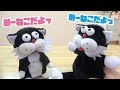 みーねこ の 散々な エイプリールフール・・ しゃべる 人形 みーねこ？！