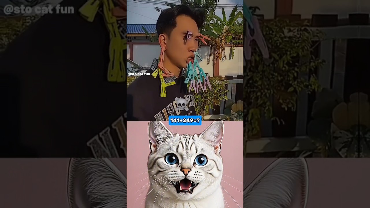 Забавные игры с рассерженной девушкой 😱🤣 