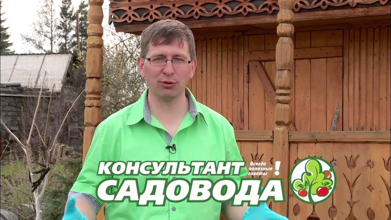 Консультант садовода. Консультант садовода кемерово. Консультант садовода кемерово. Консультант садовода кемерово последний выпуск. Консультант садовода.