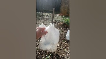Thumbnail of DIY Mini Greenhouses for Plants Cheap & Easy