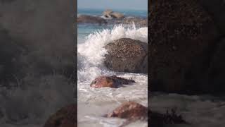 Como se formam as ondas do mar?