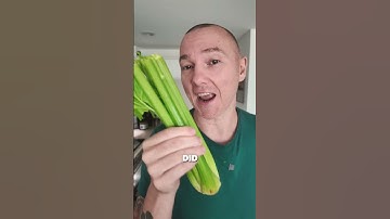 Does Celery Juicing Work? 7 Day Cleanse Results #celeryjuice #healthyliving #cleanse